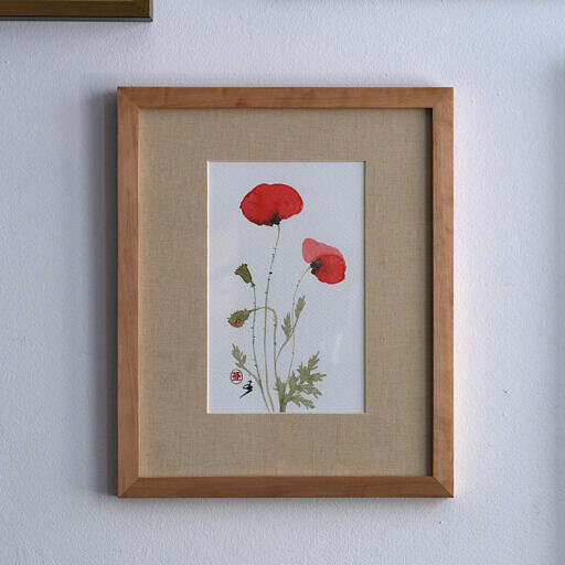 Mak polny (Papaver rhoeas)