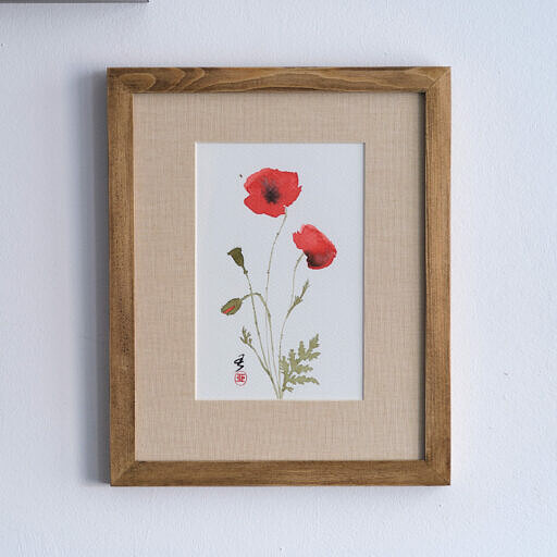 Mak polny i muszka (Papaver rhoeas)