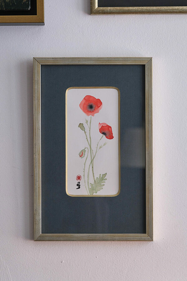 Mak polny 3 (Papaver rhoeas)